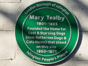 Tealby, Mary - Battersea Dogs Home (id=2858)